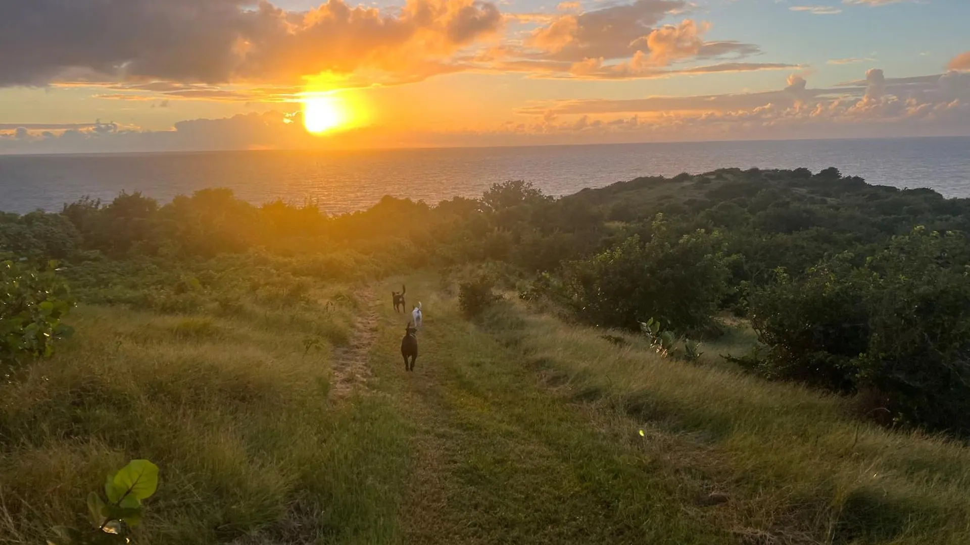 Villa Vila Yabucoa