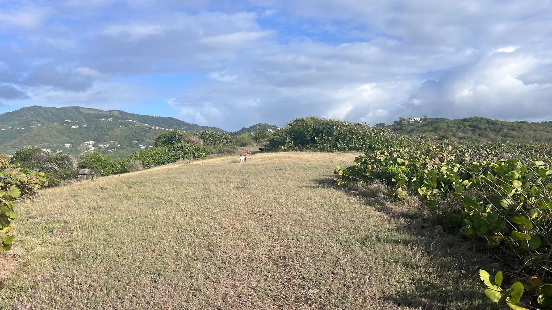 Villa Vila Yabucoa